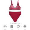 Indigenous Innii Aka Bison Rainbow on Red Recycled high-waisted bikini