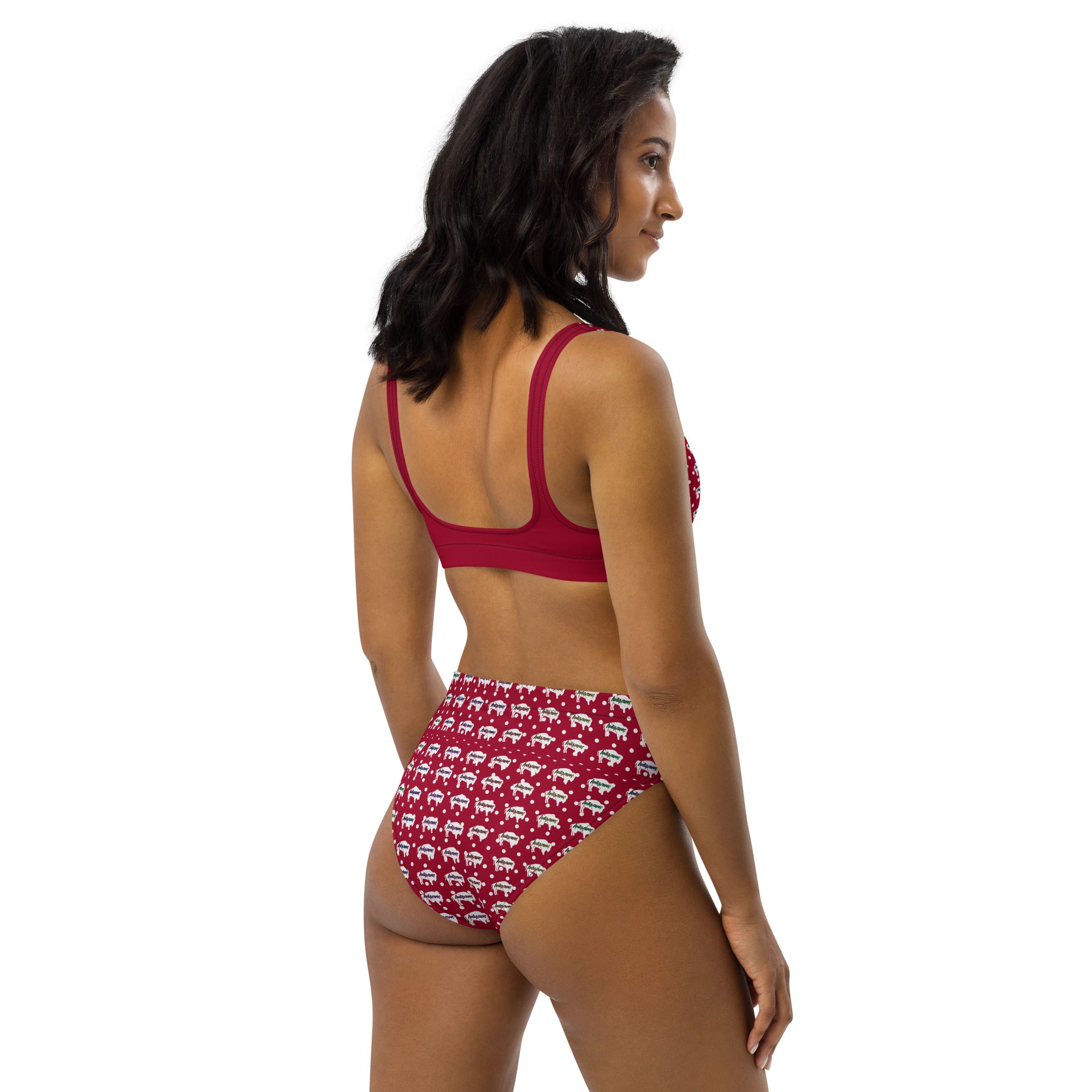 Indigenous Innii Aka Bison Rainbow on Red Recycled high-waisted bikini